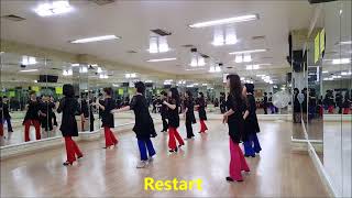 Latin Lover Beginner Version Line Dance [upl. by Eeresid]