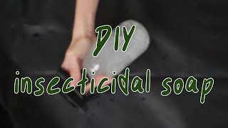 HOW TO MAKE INSECTICIDAL SOAP  houseplant pest control diy [upl. by Artina114]