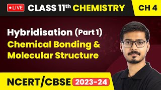 Hybridisation Part 1  Chemical Bonding amp Molecular Structure  Class 11 Chemistry Ch 4  LIVE [upl. by Iruy]