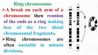 Ring Chromosome Meaning [upl. by Agace]