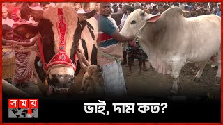 পরিশ্রমের মূল্য ছাড়া শুধু খরচা উঠানোই দায়  ভাই দাম কত  Cow Haat  Qurbani Eid  Somoy TV [upl. by Gruver105]