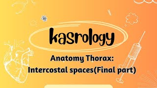 Anatomy of Thorax  Intercostal spaces Final part  By Reem [upl. by Ydok]