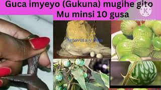 Guca imyeyo birashoboka imyaka waba ufite iyariyo yose Guca imyeyo Ngabo empire [upl. by Nosde]