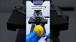 amazingfacts microscope microscope microscopeworld microscopeworld space factsinhindi [upl. by Neumeyer]