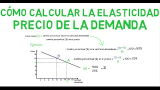 Cómo calcular la elasticidad  Cap 7  Microeconomía [upl. by Vernon]