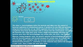 Lytic vs lysogenic cycle microbiology educationalvideo [upl. by Vogeley]