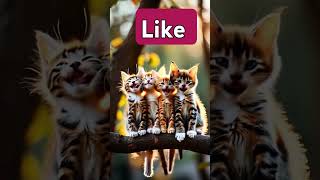 प्यारी मुस्कुराहट ☺️ cat cats catlover catvideos catshorts [upl. by Ike]