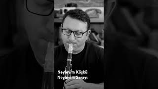 Neyleyim Köşkü Neyleyim Sarayı musician jazz music sunset travel cover saxophone clarinet [upl. by Eidderf92]