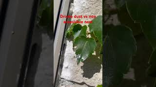 How to treat a non accessible wasp nest with drione socialwasps wasp yellowjackets hornet [upl. by Amir507]