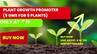 Plant Growth Promoter 5 gms for 5 plants 1 [upl. by Anaic]