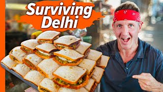 How India Survives without Meat Delhis AntiMeat Street Food [upl. by Ilrac]