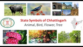 Nepal national animal bird flower and fruit  nepal national animal  nepal national bird [upl. by Weihs]