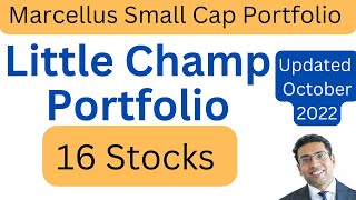 Marcellus Little Champ Portfolio  Saurabh Mukherjeas 16 Best Small Cap Stocks  Updated [upl. by Idoj]