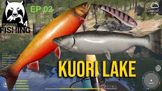 Russian Fishing 4 Kuori Lake Mystery Trophy [upl. by Aikimat627]