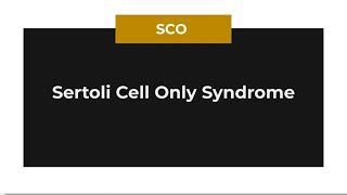 Sertoli cell only syndrome [upl. by Orgalim]