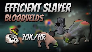 Efficient Bloodvelds Slayer with Cannon 70K Slayer ExpHr [upl. by Seilenna]