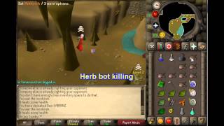 3njoylumby Bot killing  Antiluring  Barrows OSRS [upl. by Deacon]