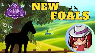 🌟 Welcoming Two New Foals  Star Equestrian Breeding 🐴 [upl. by Allista]