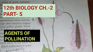 Class 12 biology chapter2 Part5 Agents of pollinationStudy with Farru [upl. by Reeves]