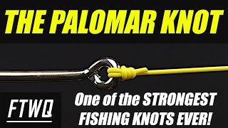 Fishing Knots Palomar Knot  One of the STRONGEST Fishing Knots ever [upl. by Ly]