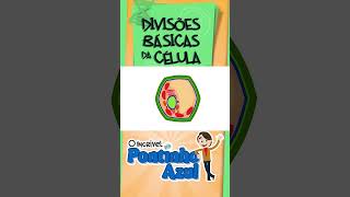 Divisões básicas da célula  Parte 1 ciência célula biologia [upl. by Lalita939]