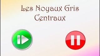 Neurofacile 7  Les noyaux gris centraux [upl. by Rebmaed]