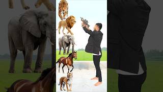 Wild Animals To Wild Animals names Talking shorts mmmrazz funny comedy [upl. by Sothena118]