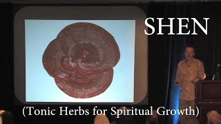 Herbs for Spiritual Health Shen w Rehmannia Dean Thomas [upl. by Ahsed62]