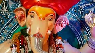 Bidar ka Raja Ganesh Bidar  Ganesh chaturthi  ganesh ganeshchaturthi ganpati🙏 best decoration [upl. by Allicserp]