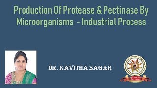 industrial production pectinase and protease production [upl. by Akamaozu]