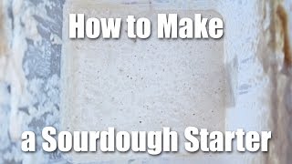 How To Make A Sourdough Starter  Video Recipe [upl. by Mclaughlin]