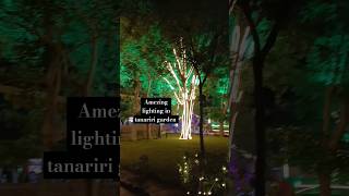 Lighting in tanariri garden lighiting garden shorts viralshort [upl. by Mccord]