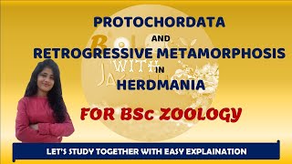 PROTOCHORDATES AND RETROGRESSIVE METAMORPHOSIS IN HERDMANIA BSC ZOOLOGY 1 YEAR BIOLOGYWITHJAGRITI [upl. by Giamo]