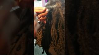 How to restore amp cut through matted dreadlocks [upl. by Hsivat]