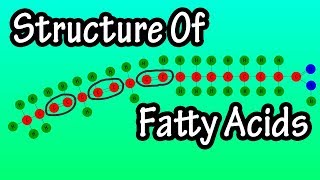 Fatty Acids  What Are Fatty Acids  Structure Of Fatty Acids  Types Of Fatty Acids [upl. by Dahlstrom]