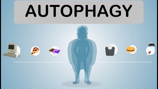 Autophagy  Intermittent Fasting Loose Skin Benefits Activation  Boost Autophagy [upl. by Afrikah]