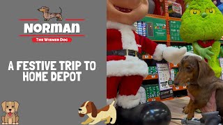 A Festive Trip to Home Depot 🎄🎅🏻 [upl. by Llerrat301]