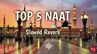 Top 5 Naat List SLOWEDampREVERB Nonstop Top5 Naat  Super Hit Naat Sharif  Hassan Ali Official [upl. by Siroled]