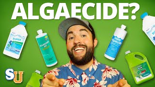 The TRUTH About Using ALGAECIDE In Your POOL  Swim University [upl. by Wylie]