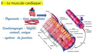 Histologie Les tissus musculaires  Caractéristiques  Types des muscles Strié cardiaque lisse [upl. by Ediva871]