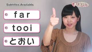 quotFarquot Japanese Sign Language JSL with Explanation in International Sign IS [upl. by Elke]