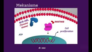 Mekanisme Kerja Obat Imatinib💊 [upl. by Ahsauqram]