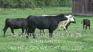 TRI STATE VIDEO SALE 9823 AT 1PM [upl. by Naivaj]