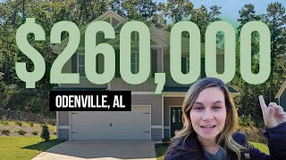 NEW BUILD PROPERTY TOUR for only 260k  Rural Alabama Living  Living In Birmingham Alabama Suburbs [upl. by Dloraj]