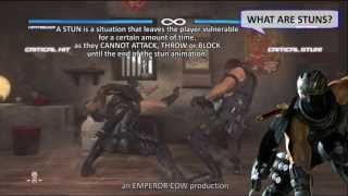 THE DEAD OR ALIVE 5 TUTORIAL  07  STUNS Feat MASTER [upl. by Naesed]