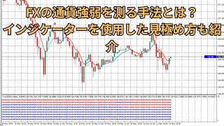 FXの通貨強弱を測る手法とは？インジケーターを使用した見極め方も紹介 [upl. by Eolc]