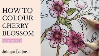 Colouring Tutorial  How to Colour Cherry Blossoms [upl. by Wilkens]