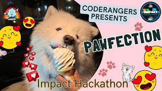 PAWFECTION  Revolutionary Platform for Pet Owner  Impact Hackathon [upl. by Ellerrehc520]