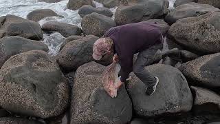 Surfcasting Taranaki June 2024 [upl. by Kelwunn]