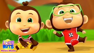 Monkey Dance Song Fun Rhyme for Kids by Loco Nuts Nursery Rhymes [upl. by Darahs879]